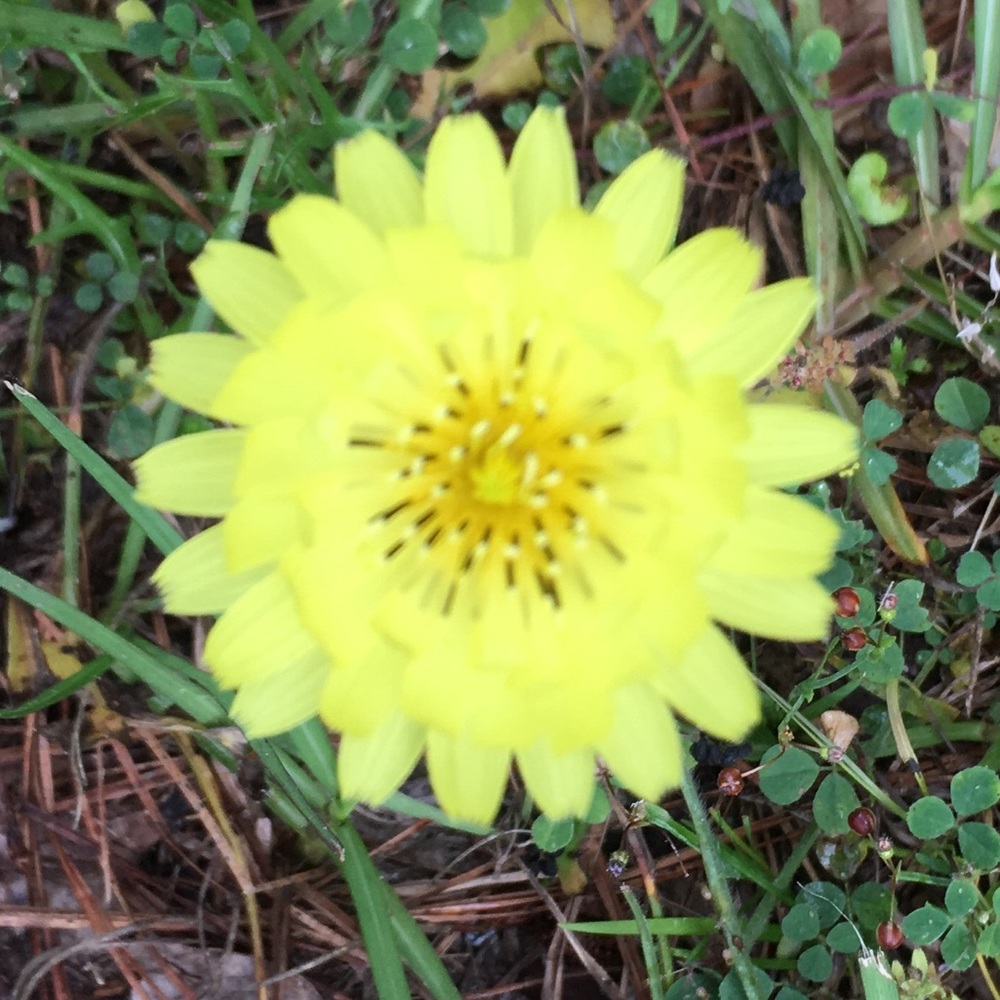 Meet your Posher, Jacquelyn